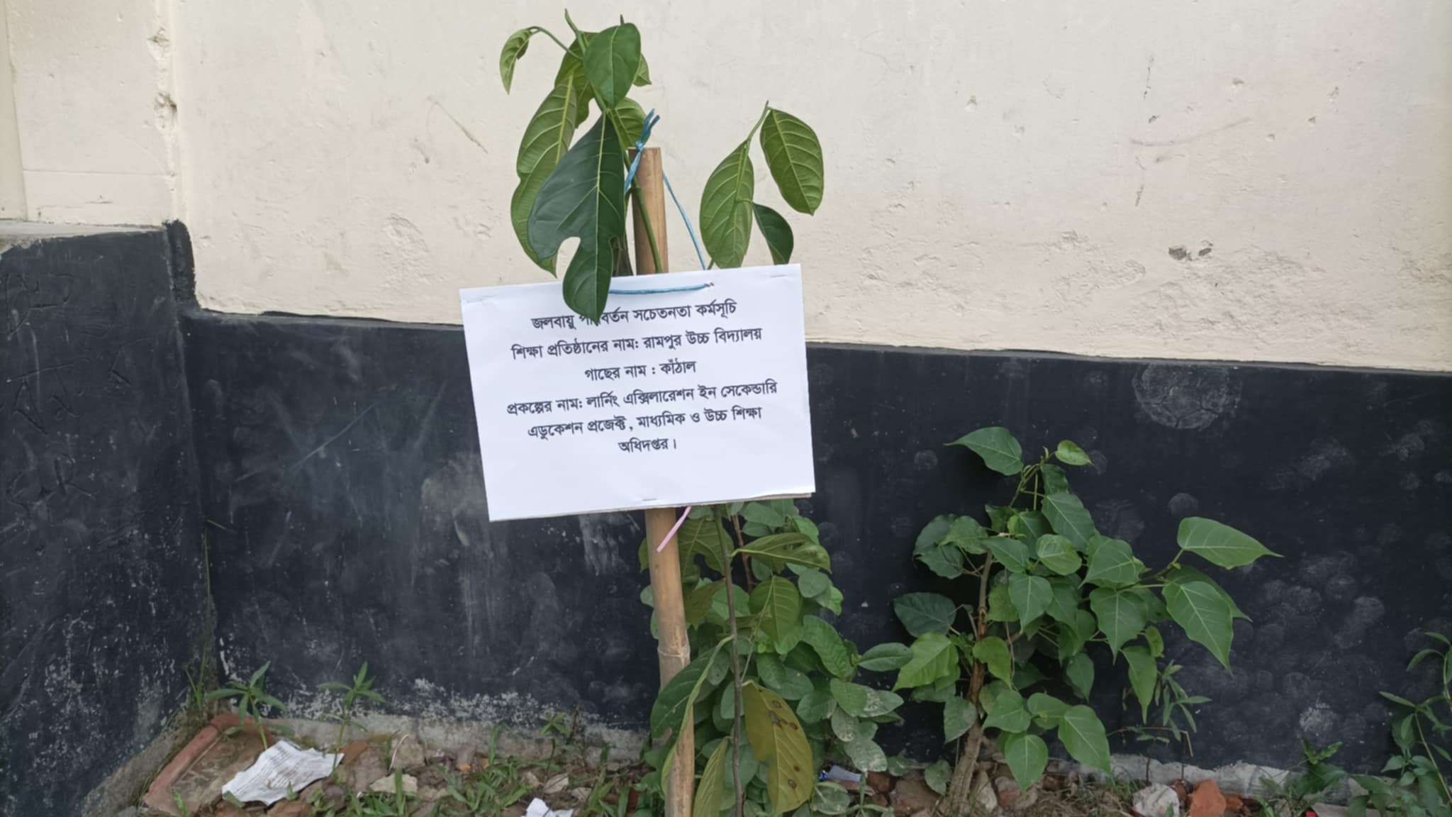 জলবায়ু পরিবর্তন সচেতনতা কর্মসূচি